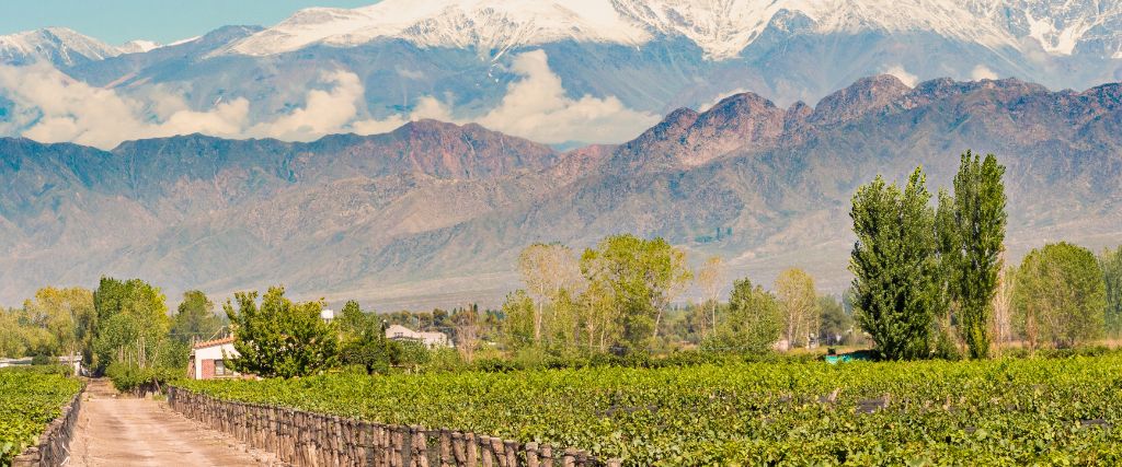 mendoza y la ruta del vino