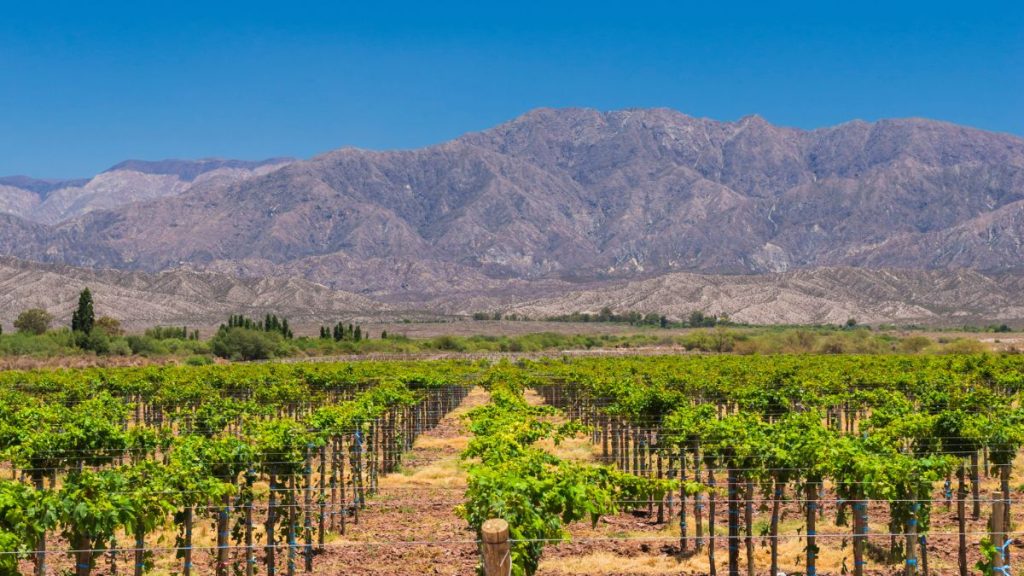 cual es la mejor epoca para visitar cuyo