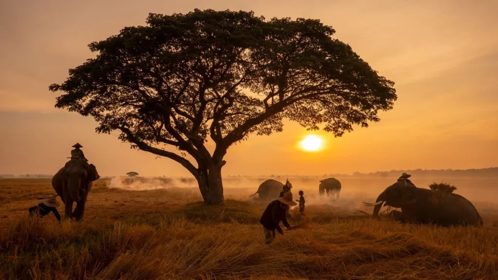 mejor epoca para viajar a tanzania