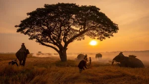 mejor epoca para viajar a tanzania