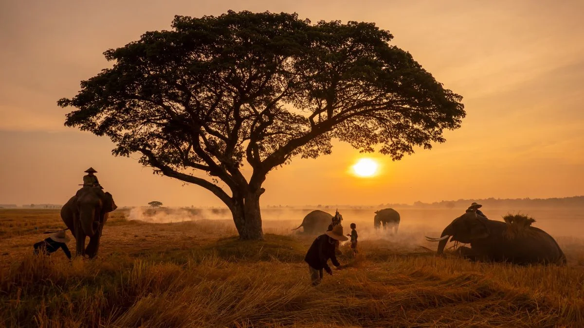 ¿Cuál es la mejor época para Viajar a Tanzania?
