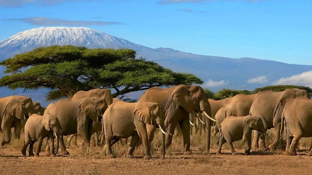Requisitos para viajar a Tanzania