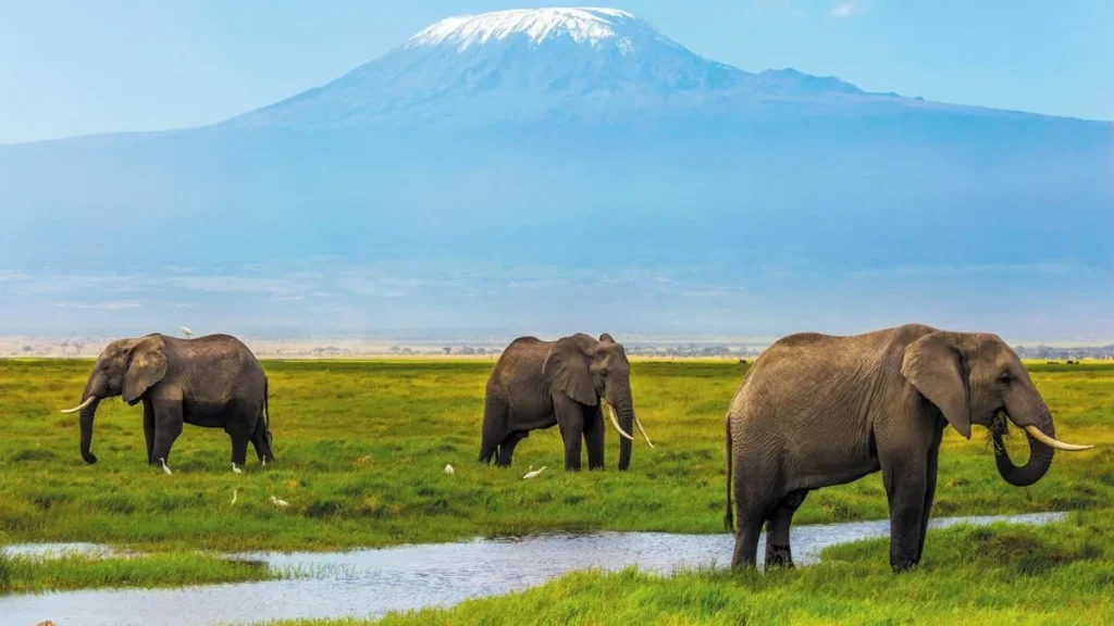 Requisitos para viajar a Tanzania